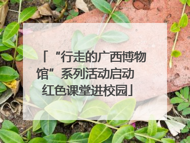 “行走的广西博物馆”系列活动启动 红色课堂进校园