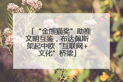 “金熊猫奖”助推文明互鉴，布达佩斯架起中欧“互联网+文化”桥梁