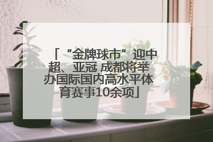 “金牌球市”迎中超、亚冠 成都将举办国际国内高水平体育赛事10余项