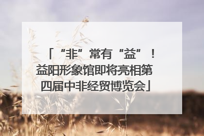 “非”常有“益”！益阳形象馆即将亮相第四届中非经贸博览会