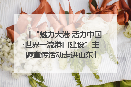 “魅力大港 活力中国·世界一流港口建设”主题宣传活动走进山东