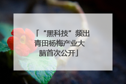 “黑科技”频出 青田杨梅产业大脑首次公开