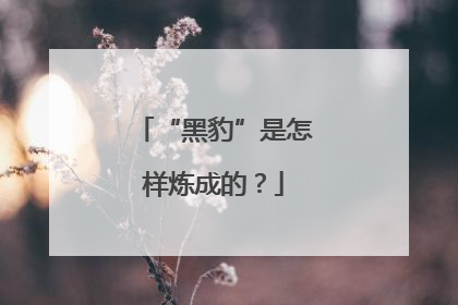 “黑豹”是怎样炼成的？