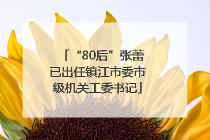 “80后”张蕾已出任镇江市委市级机关工委书记