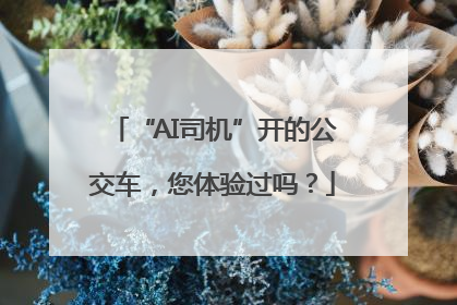 “AI司机”开的公交车，您体验过吗？