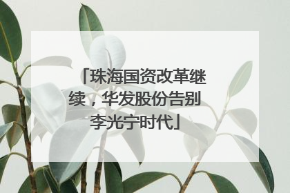 珠海国资改革继续，华发股份告别李光宁时代