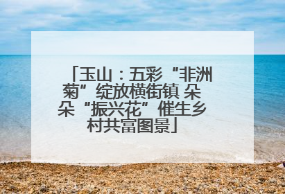 玉山：五彩“非洲菊”绽放横街镇 朵朵“振兴花”催生乡村共富图景