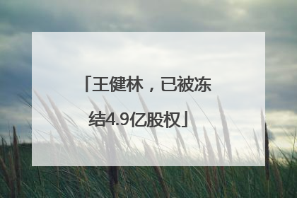 王健林，已被冻结4.9亿股权