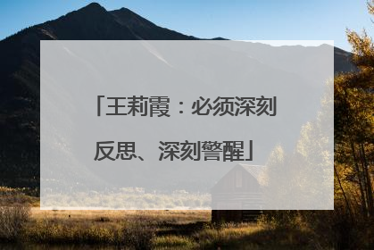 王莉霞：必须深刻反思、深刻警醒