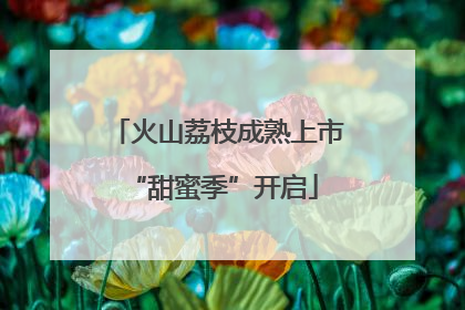火山荔枝成熟上市 “甜蜜季”开启
