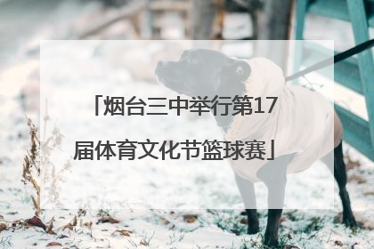 烟台三中举行第17届体育文化节篮球赛