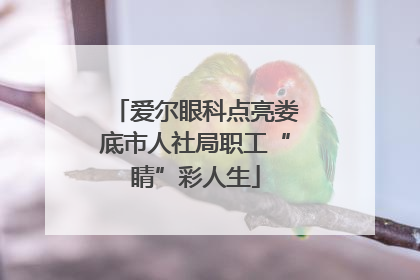 爱尔眼科点亮娄底市人社局职工“睛”彩人生