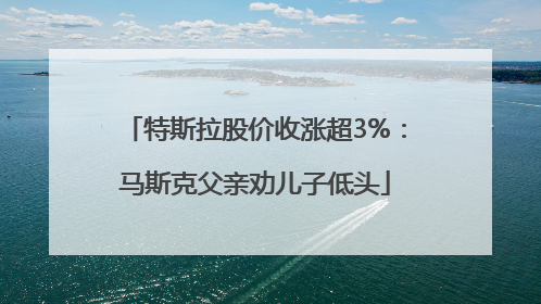 特斯拉股价收涨超3%：马斯克父亲劝儿子低头