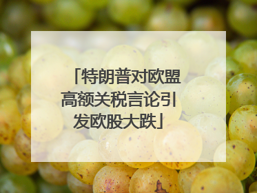 特朗普对欧盟高额关税言论引发欧股大跌