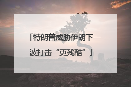特朗普威胁伊朗下一波打击“更残酷”