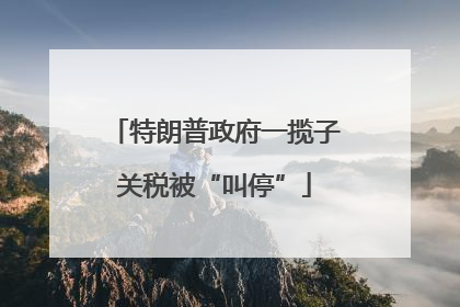 特朗普政府一揽子关税被“叫停”