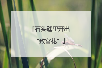 石头缝里开出“致富花”