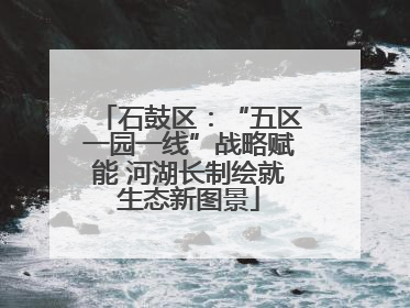 石鼓区：“五区一园一线”战略赋能 河湖长制绘就生态新图景