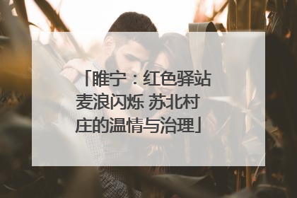睢宁：红色驿站麦浪闪烁 苏北村庄的温情与治理