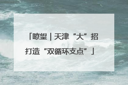 瞭望｜天津“大”招打造“双循环支点”