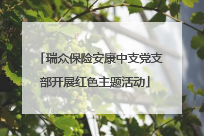 瑞众保险安康中支党支部开展红色主题活动
