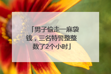 男子偷走一麻袋钱，三名特警整整数了2个小时