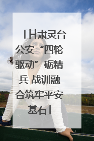 甘肃灵台公安“四轮驱动”砺精兵 战训融合筑牢平安基石