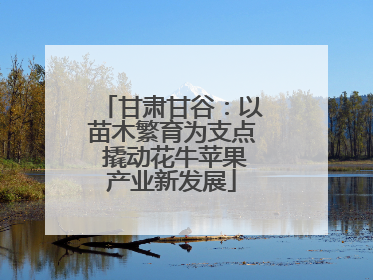 甘肃甘谷：以苗木繁育为支点 撬动花牛苹果产业新发展