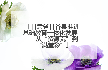 甘肃省甘谷县推进基础教育一体化发展——从“资源荒”到“满堂彩”