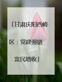 甘肃庆阳西峰区：党建强链 富民增收