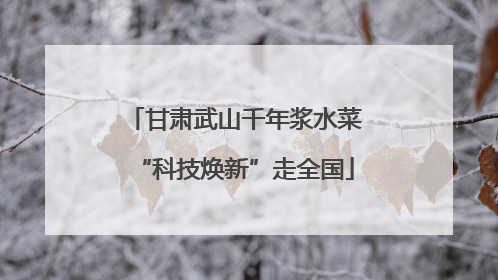 甘肃武山千年浆水菜“科技焕新”走全国