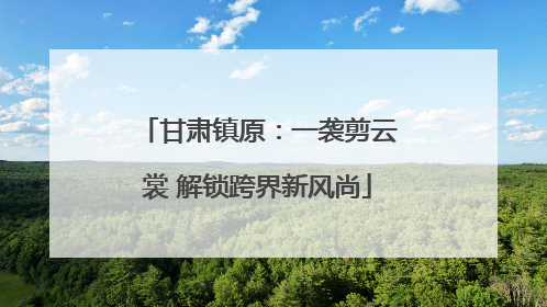 甘肃镇原：一袭剪云裳 解锁跨界新风尚