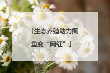 生态养殖助力鳜鱼变“网红”