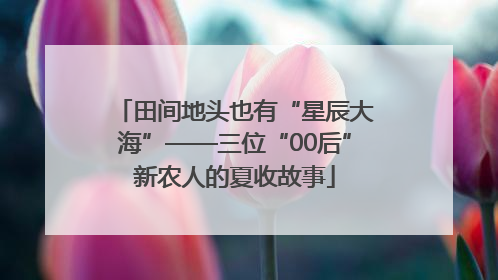 田间地头也有“星辰大海”——三位“00后”新农人的夏收故事