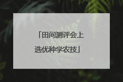 田间测评会上选优种学农技