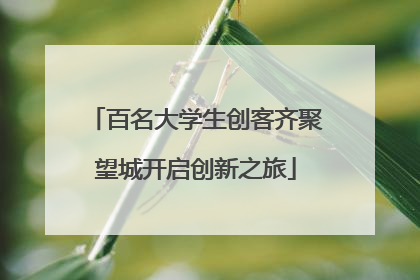 百名大学生创客齐聚望城开启创新之旅