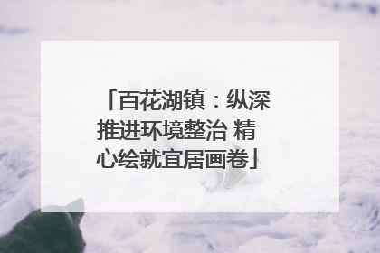 百花湖镇：纵深推进环境整治 精心绘就宜居画卷