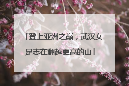 登上亚洲之巅，武汉女足志在翻越更高的山