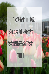 登封王城岗遗址考古发掘最新发现