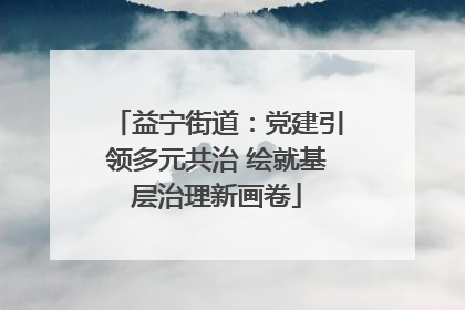 益宁街道：党建引领多元共治 绘就基层治理新画卷