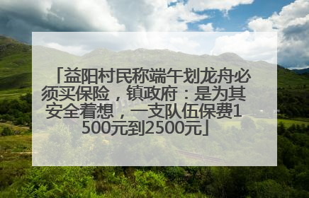 益阳村民称端午划龙舟必须买保险，镇政府：是为其安全着想，一支队伍保费1500元到2500元