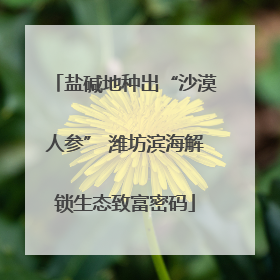 盐碱地种出“沙漠人参” 潍坊滨海解锁生态致富密码