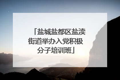 盐城盐都区盐渎街道举办入党积极分子培训班