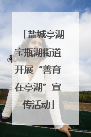 盐城亭湖宝瓶湖街道开展“善育在亭湖”宣传活动