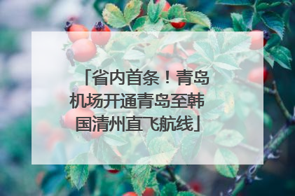 省内首条!青岛机场开通青岛至韩国清州直飞航线