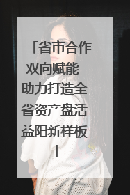 省市合作双向赋能 助力打造全省资产盘活益阳新样板