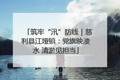 筑牢“汛”防线｜慈利县江垭镇：党旗映溇水 清淤见担当
