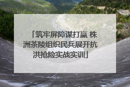 筑牢屏障谋打赢 株洲茶陵组织民兵展开抗洪抢险实战实训