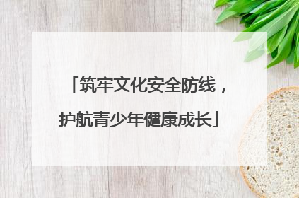 筑牢文化安全防线，护航青少年健康成长