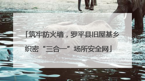 筑牢防火墙，罗平县旧屋基乡织密“三合一”场所安全网